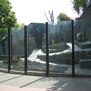 Part of the Polar bearmexhibit