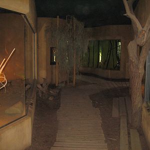 Africa Pavillion Visitor Room