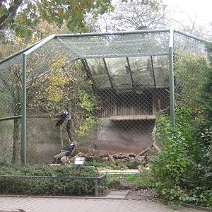 Hannover Zoo - Condor Aviary