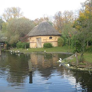 Hannover Zoo - Zambezi
