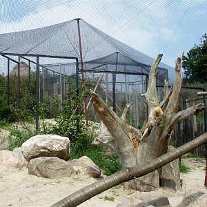 Ree Park - Sand cat exhibit