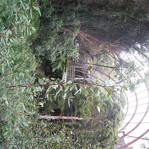 View in great flight avairy