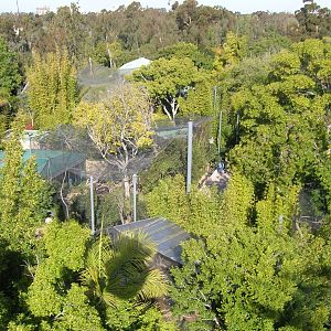 Monkey Trails Aerial 1-6-09