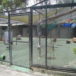 The much loved Baboon cages