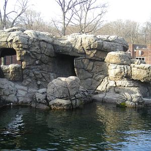 Sea Lion pool
