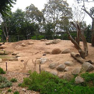 TOTE: Largest paddock