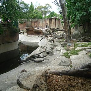 Bear enclosure