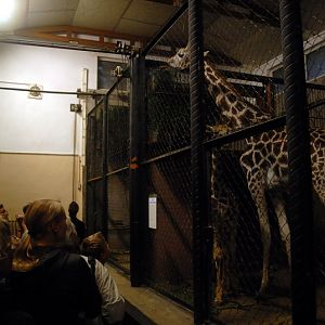 Giraffe-house at hamburg