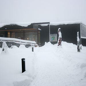 Entrance - Orsa Bearpark