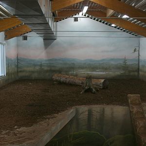 Tiger house interior - Orsa Bearpark