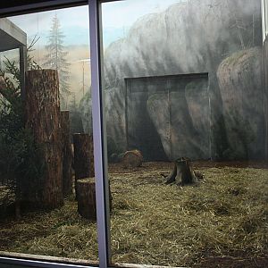 Tiger house interior - Orsa Bearpark