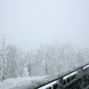 Foggy view from the Tiger House - Orsa Bearpark