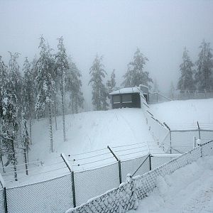 Wolf enclosure - Orsa Bearpark