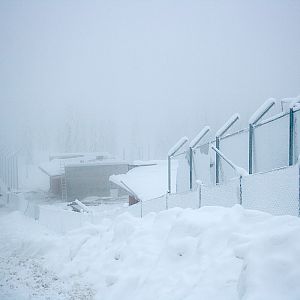 Construction of polar bear enclosure - Orsa Bearpark