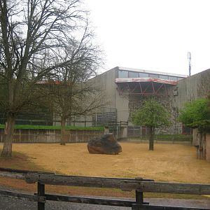 Zebra Exhibit