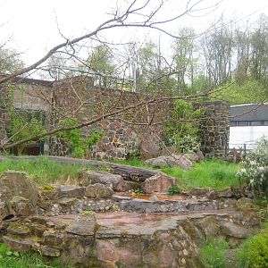 Corsac Fox Exhibit Detail