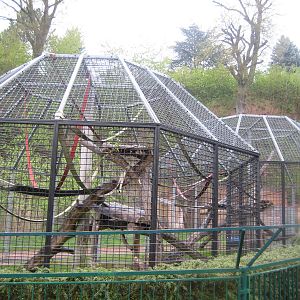 Chimpanzee Outdoor cages