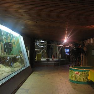 Inside Apehouse