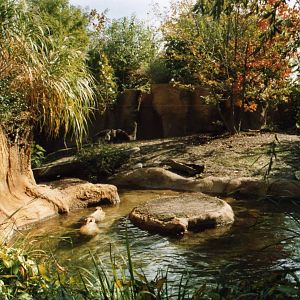 South America Exhibit