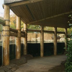 Hippo exhibit