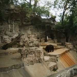 Bear Grotto