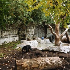 Bear Grotto with natural ground