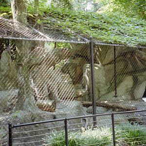 Jaguar Enclosure