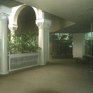 Inside the Monkey house