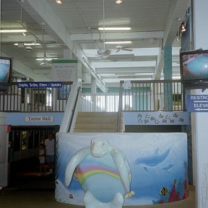 Aquarium Entrance