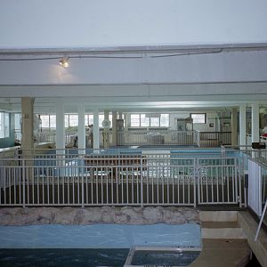 Aquarium Upper Level