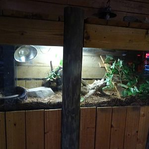 Python Exhibit at Gator Golf