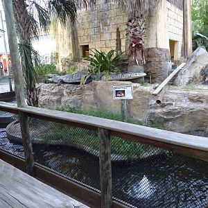 Red Belly Turtle Enclosure at Gator Golf