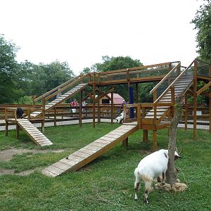 Farmyard Zone - Goat Yard