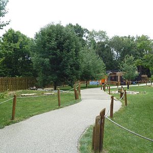 Australian Walk-About