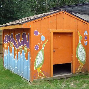 Australian Walk-About