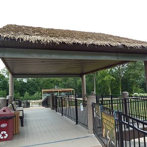 Passport to Africa - Reticulated Giraffe Feeding Platform