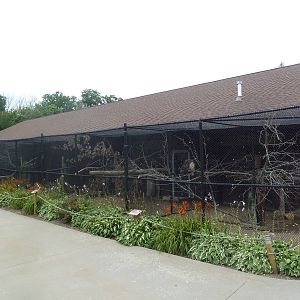 Assorted Bird Aviaries