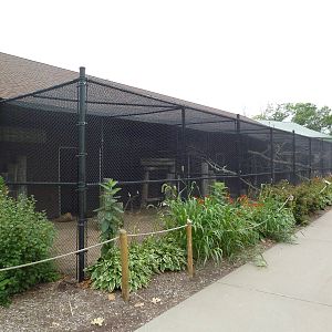Assorted Bird Aviaries