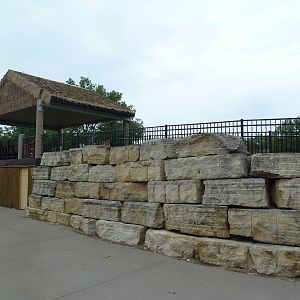 Reticulated Giraffe Feeding Platform (rear view)
