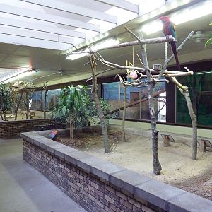 Bird + Small Animal Building