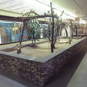 Bird + Small Animal Building