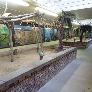 Bird + Small Animal Building