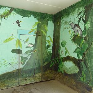 Bird + Small Animal Building (Mural)