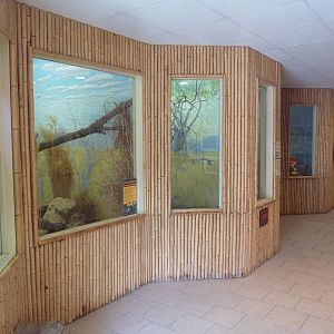 Safari Lodge - Small Animal Exhibits