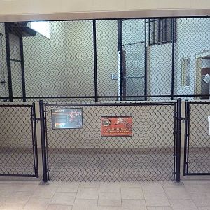 Reticulated Giraffe Barn