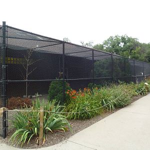 Assorted Bird Aviaries