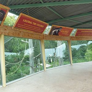 Colobus Monkey Exhibit