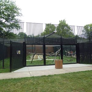 African Leopard Exhibit
