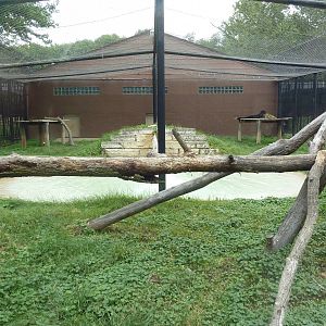 African Leopard Exhibit