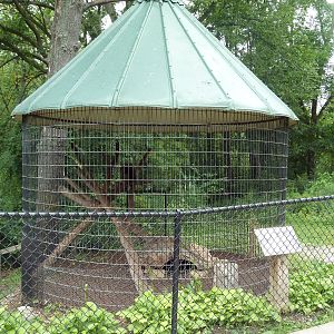 North American Porcupine Exhibit